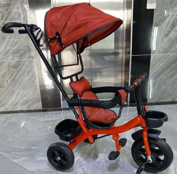 Tricycle With Canopy - main view