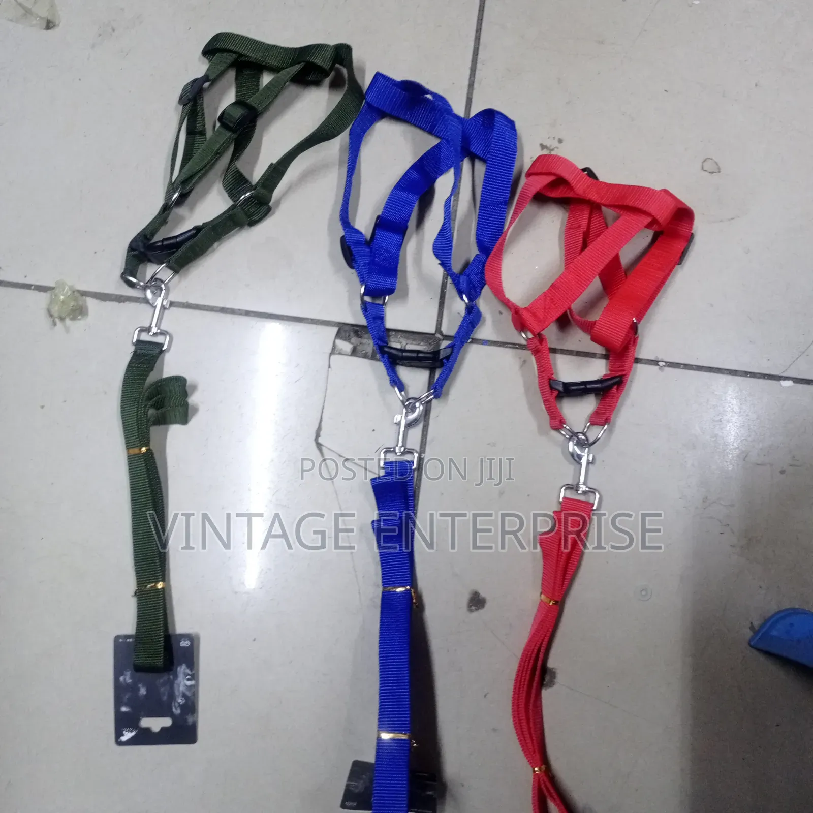 Dog Leash With Harness