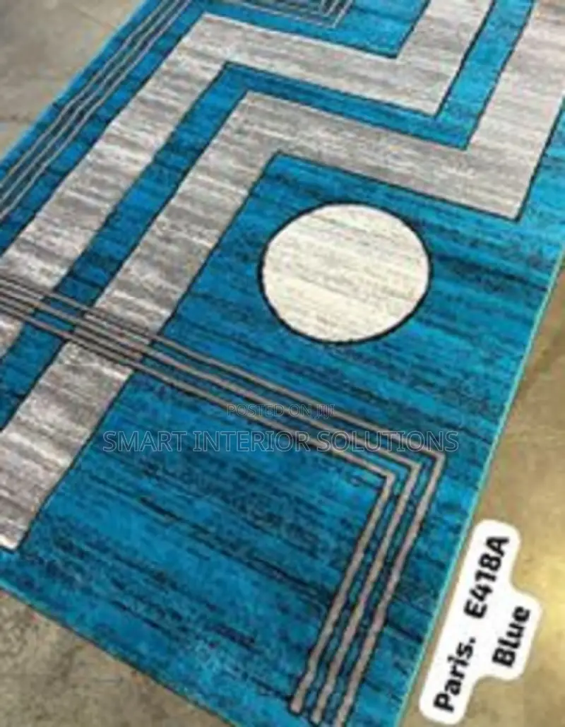 Tv Room House Carpet