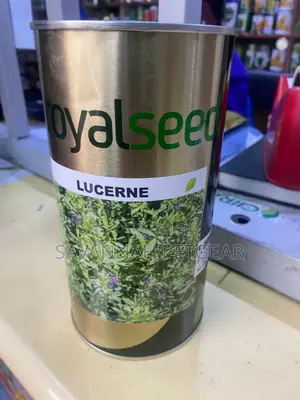 Royal Seed Lucerne/Alfalfa, Legume Fodder for Livestock - 500 Grams