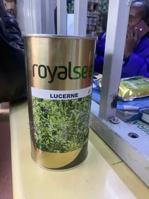 Royal Seed Lucerne/Alfalfa, Legume Fodder for Livestock - 500 Grams