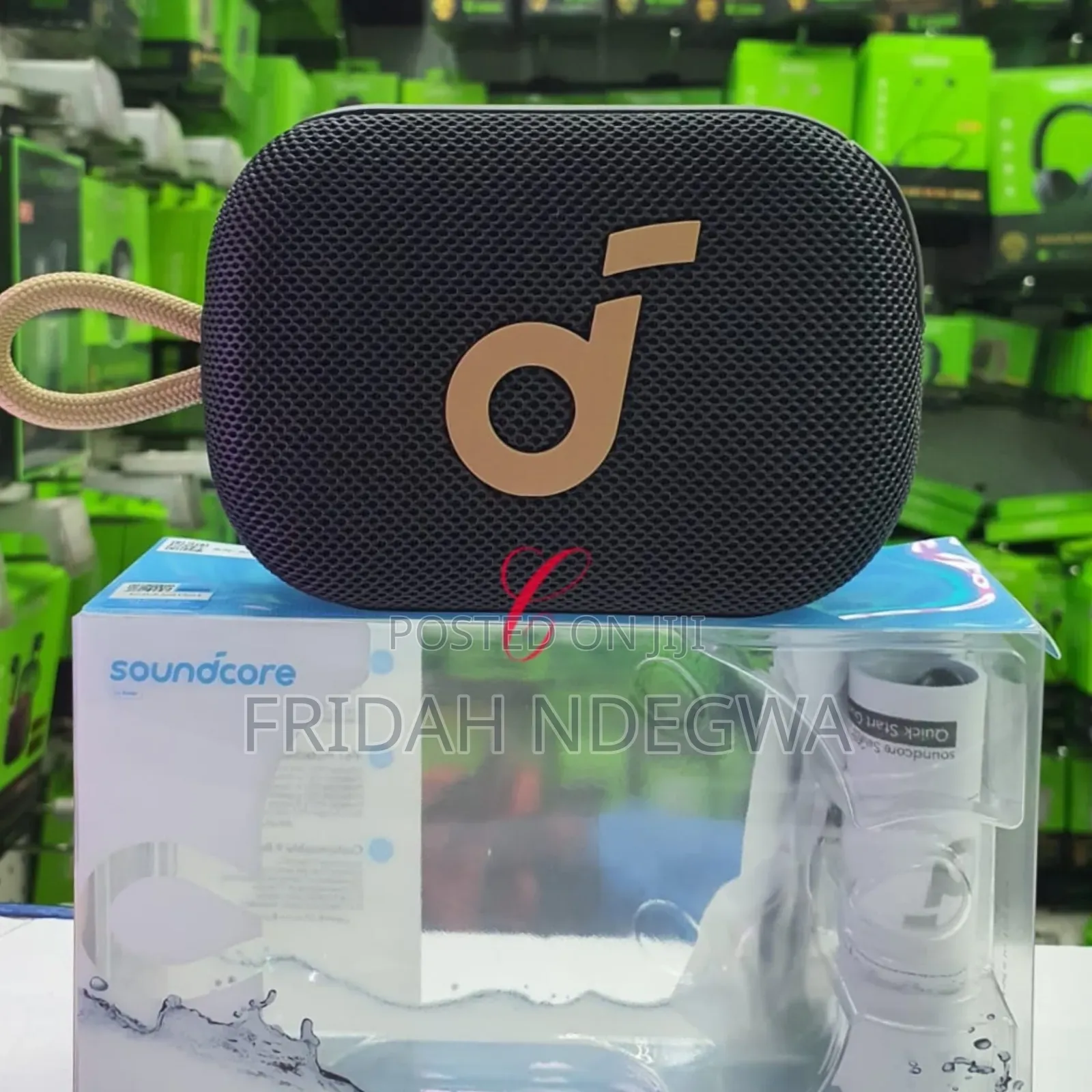 Soundcore Select 4 Go Bluetooth Speaker