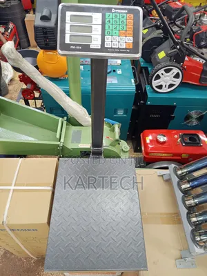 Heavy Duty 300kg Digital Price Computing Scale