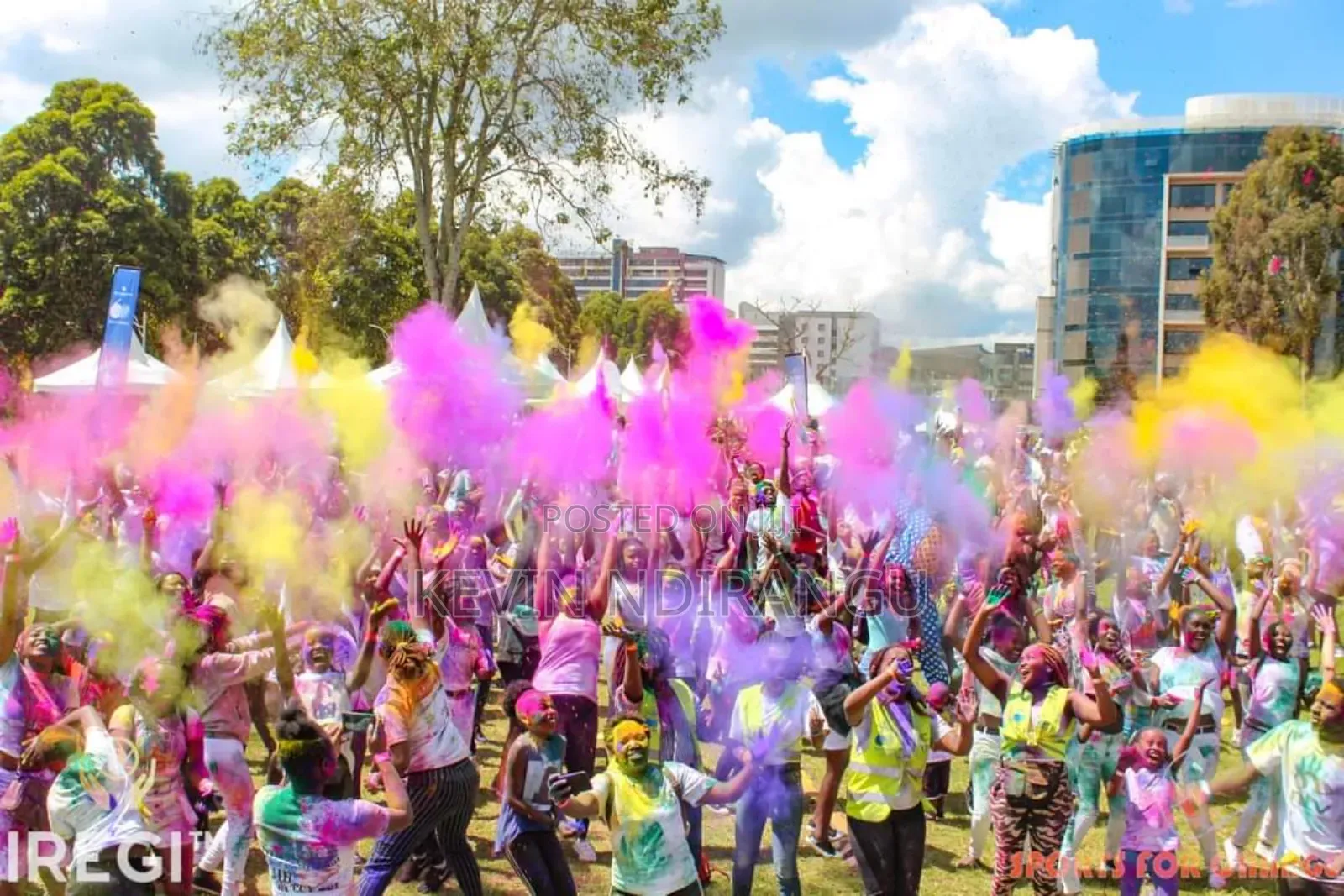 Colourfest Powders Smoke Bombs