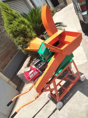 Affordable Chopper Grinder Machine