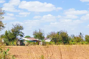 Matuu, A Walking Distance From Matuu Town