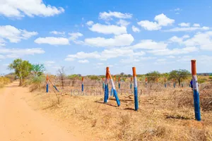 Matuu, A Walking Distance From Matuu Town