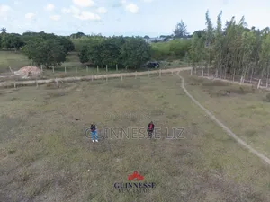 Prime Plots for Sale Kilifi Tezo With Title Deeds