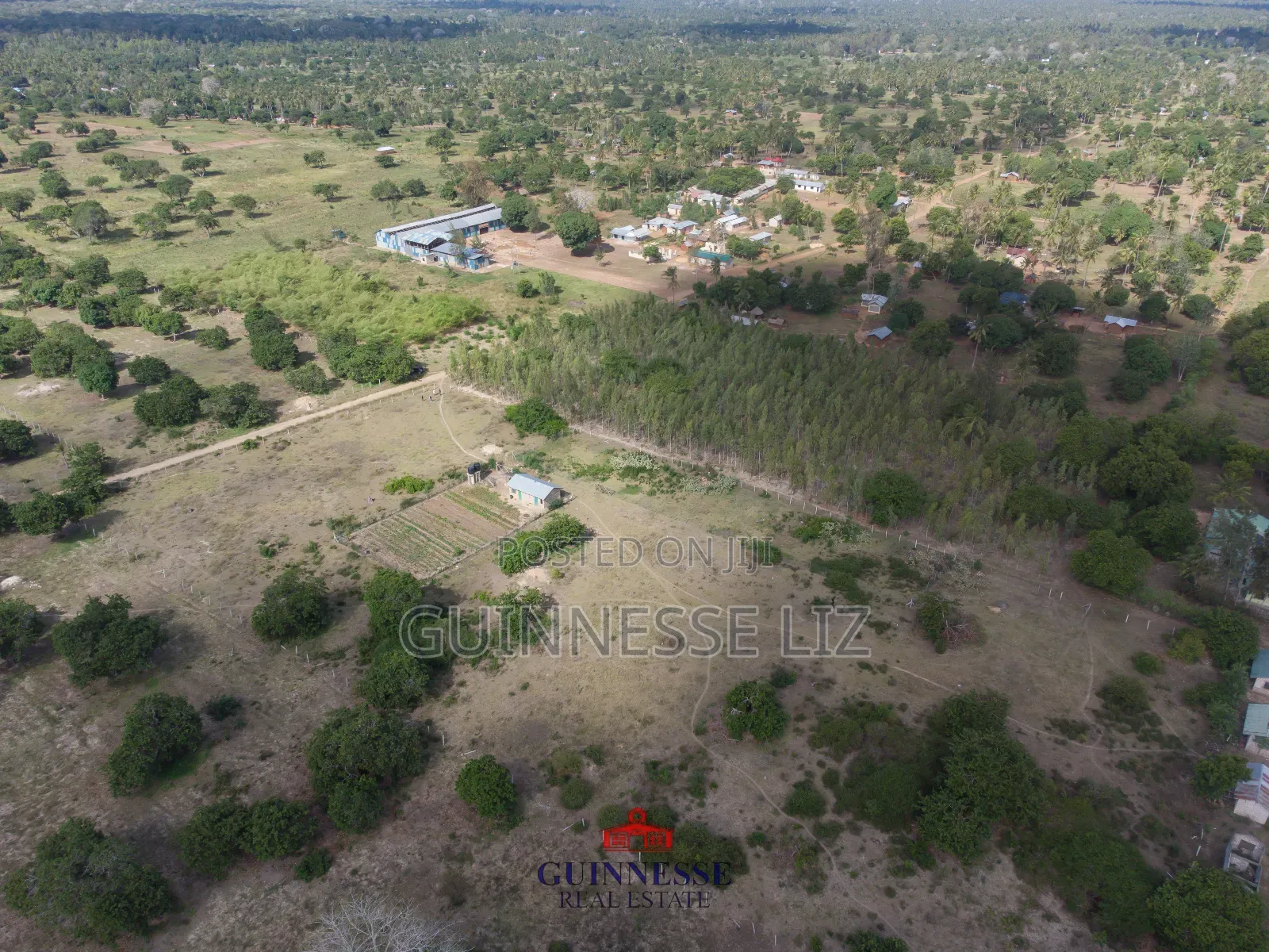 Prime Plots for Sale Kilifi Tezo With Title Deeds