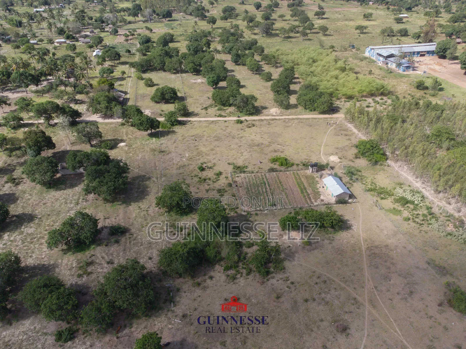 Prime Plots for Sale Kilifi Tezo With Title Deeds