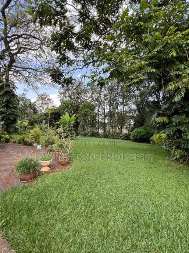 Very Prime 1.1 Acre Freehold Land Ideal for Redevelopment - thumbnail 4