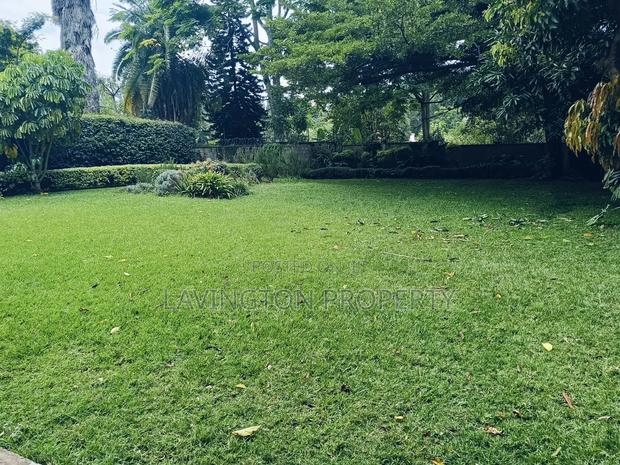 Very Prime 1.1 Acre Freehold Land Ideal for Redevelopment - thumbnail 13