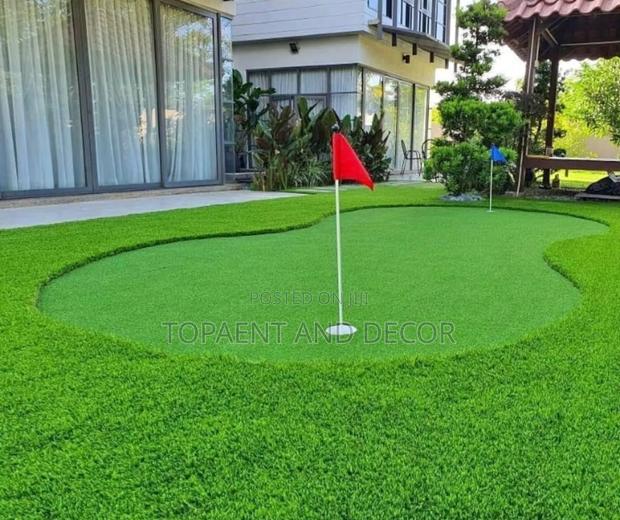 Luxury Artificial Grass Carpet for Home Compound