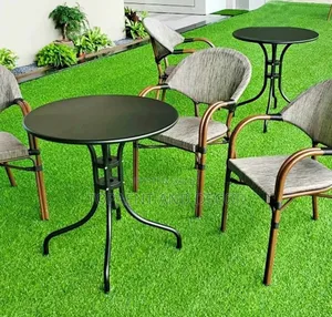 Realistic Artificial Lawn Carpet for Homes and Restaurants
