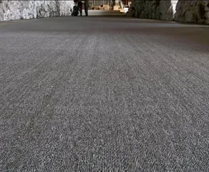 Modern Design Full Floor Wall to Wall Carpet