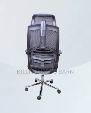 High Back Mesh Office Chair (Orthopedic) — Offer Valid This Week