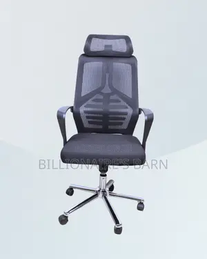 High Back Mesh Office Chair (Orthopedic) — Offer Valid This Week