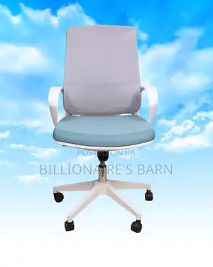 Plush White Ergonomic Mesh Office Chair | Mesh Backrest