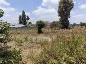 Quarter Acre for Sale in Losegetti Kikuyu Kiambu County.