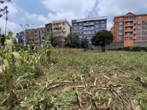 Quarter Acre for Sale in Uthiru Gichagi Kiambu County