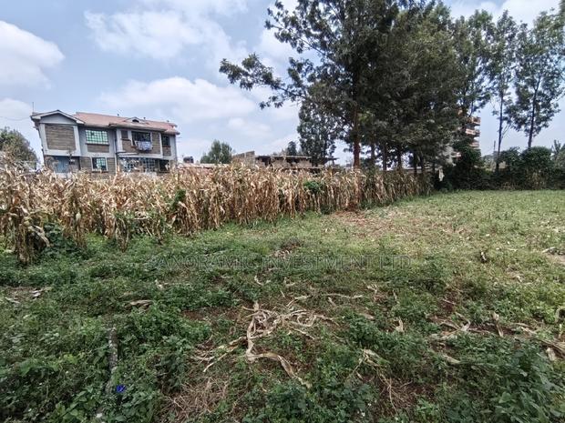 Quarter Acre for Sale in Uthiru Gichagi Kiambu County - thumbnail 5