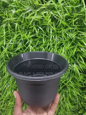 Flower Pot