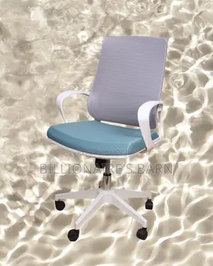 Plush White Ergonomic Mesh Office Chair — Great for Study or Work