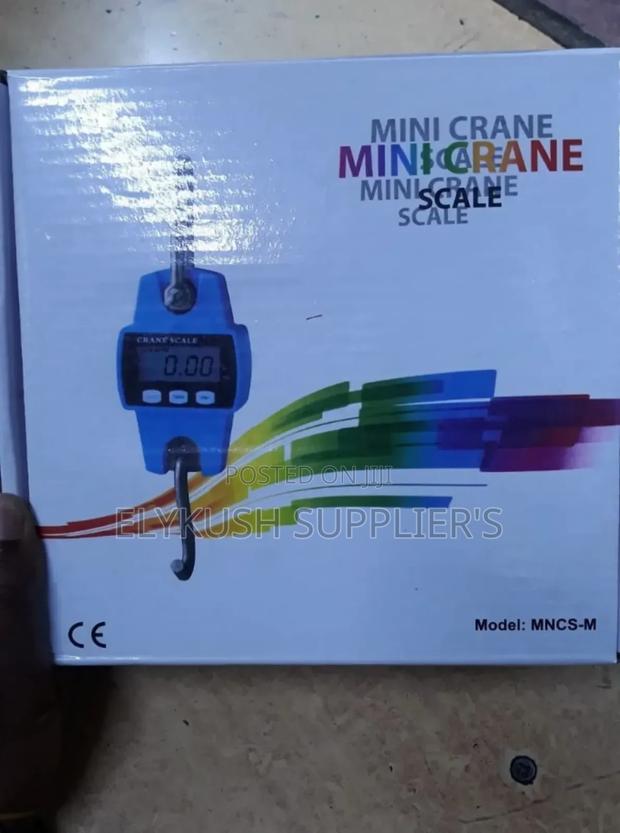 300kg Mini Scale