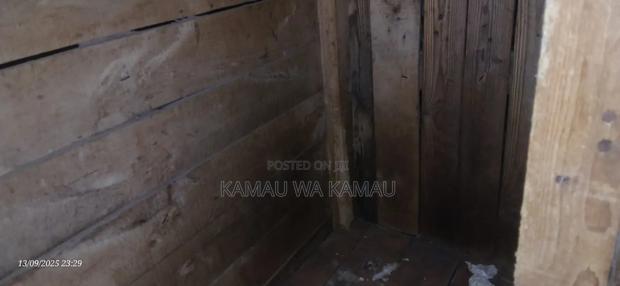 Dog House for Sale - thumbnail 5