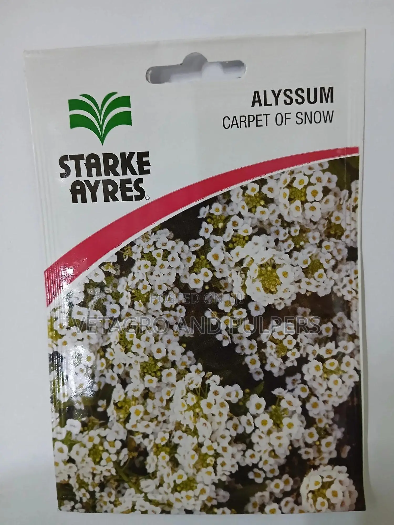 Alyssum Carpet Of Snow