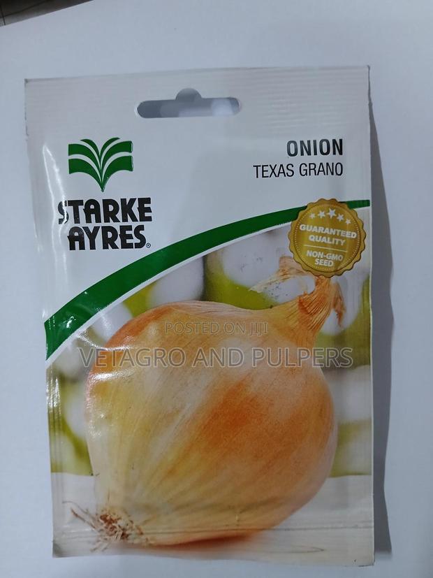 Onion Texas Grano - main view