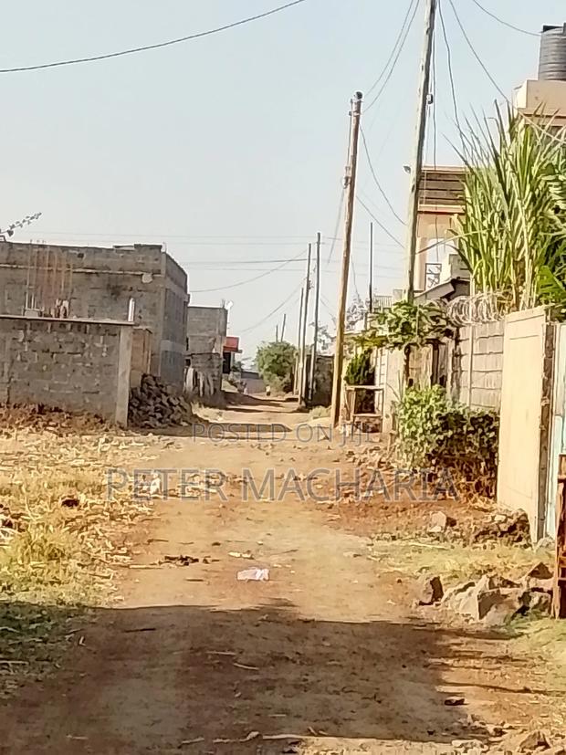 Kimbo Murera Kariaini Plot - thumbnail 3