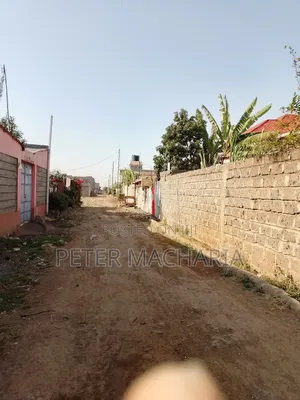 Kimbo Murera Kariaini Plot