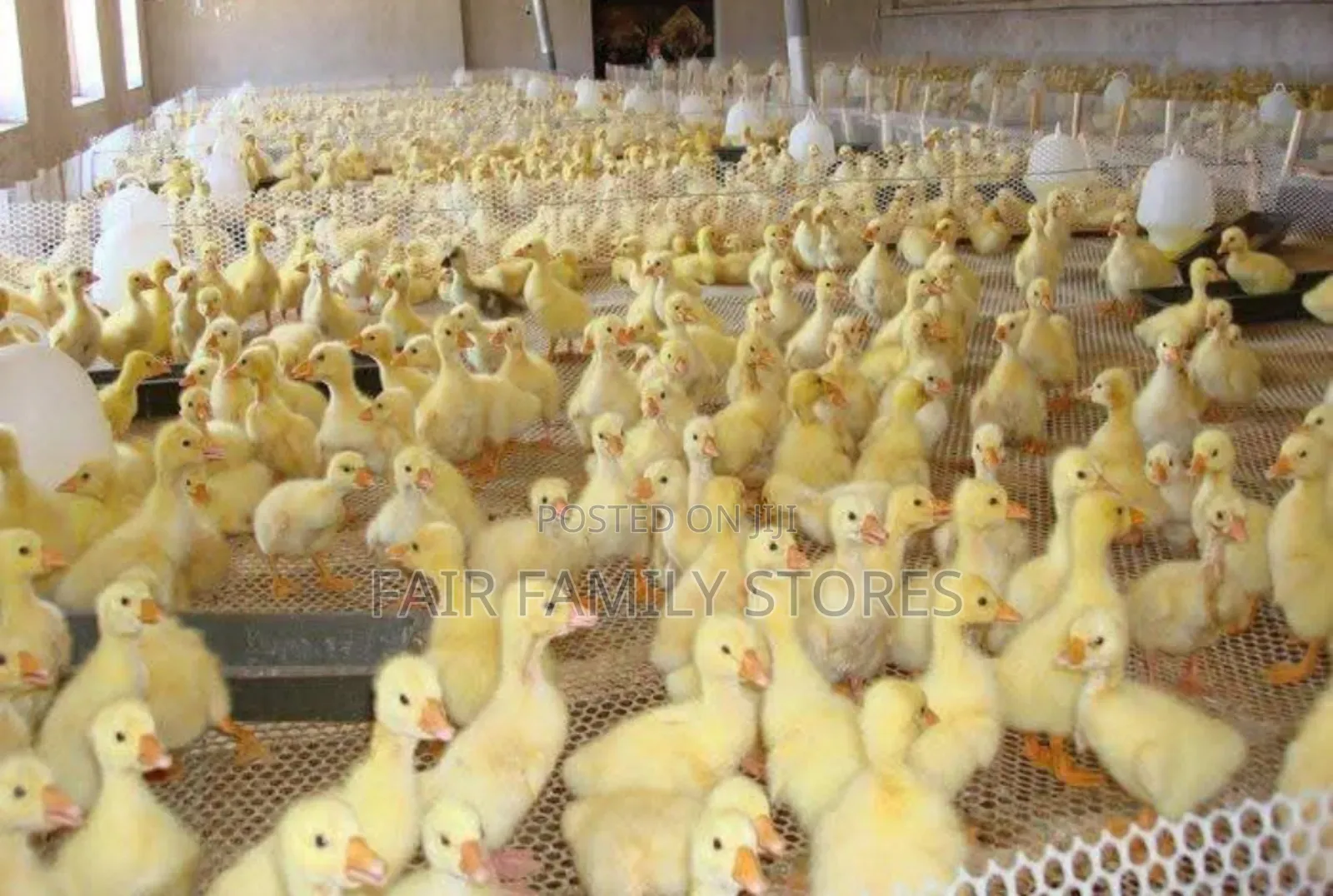 Plastic Mesh Fence 2meters by 50meters
