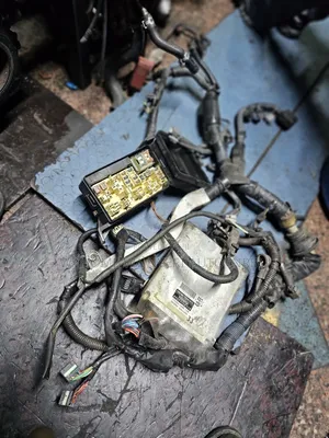 Complete Engine Harness 4a