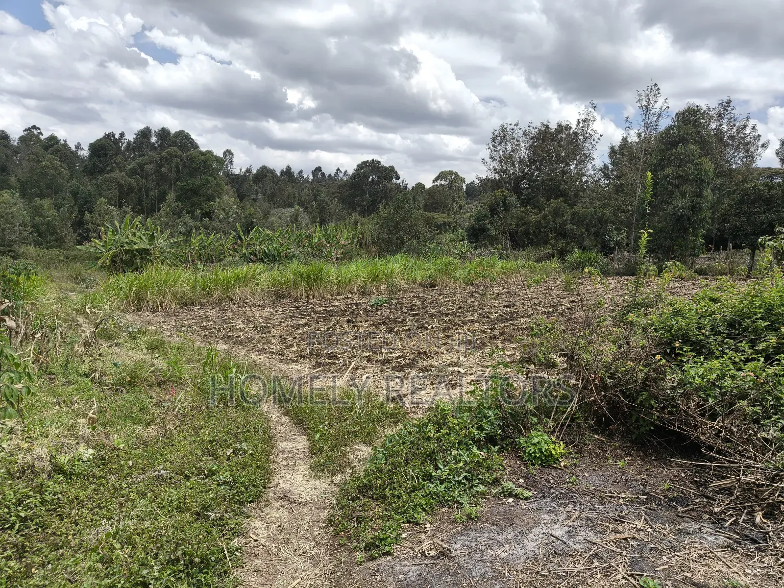 Residential Eighth Acre Plot in Ngong, Olkeri Near