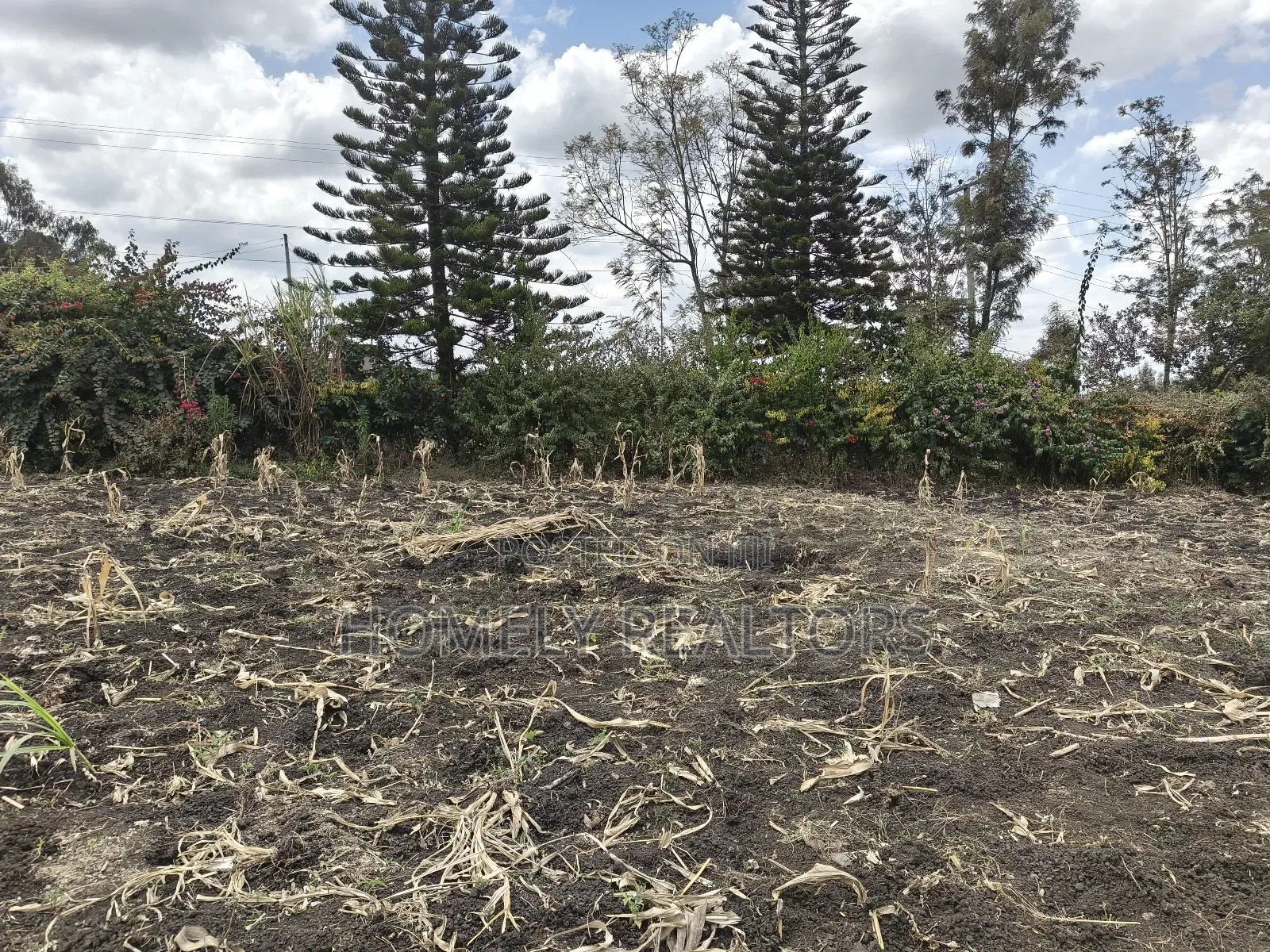 Residential Eighth Acre Plot in Ngong, Olkeri Near