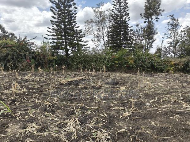 Residential Eighth Acre Plot in Ngong, Olkeri Near - thumbnail 4