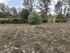 Residential Quarter Acre Corner Plot in Ngong, Ol Keri for Sale.