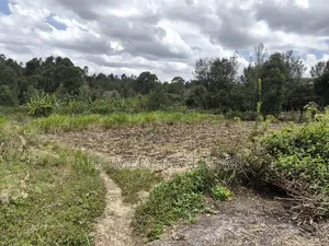 Residential Quarter Acre Corner Plot in Ngong, Ol Keri for Sale.