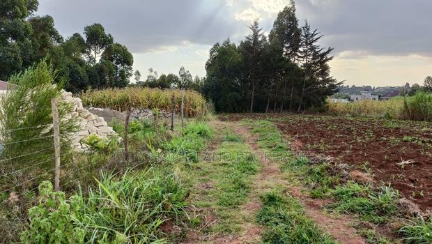 Build Your Dream Home in Rironi Kiroe for Only 2,200,000 - thumbnail 2