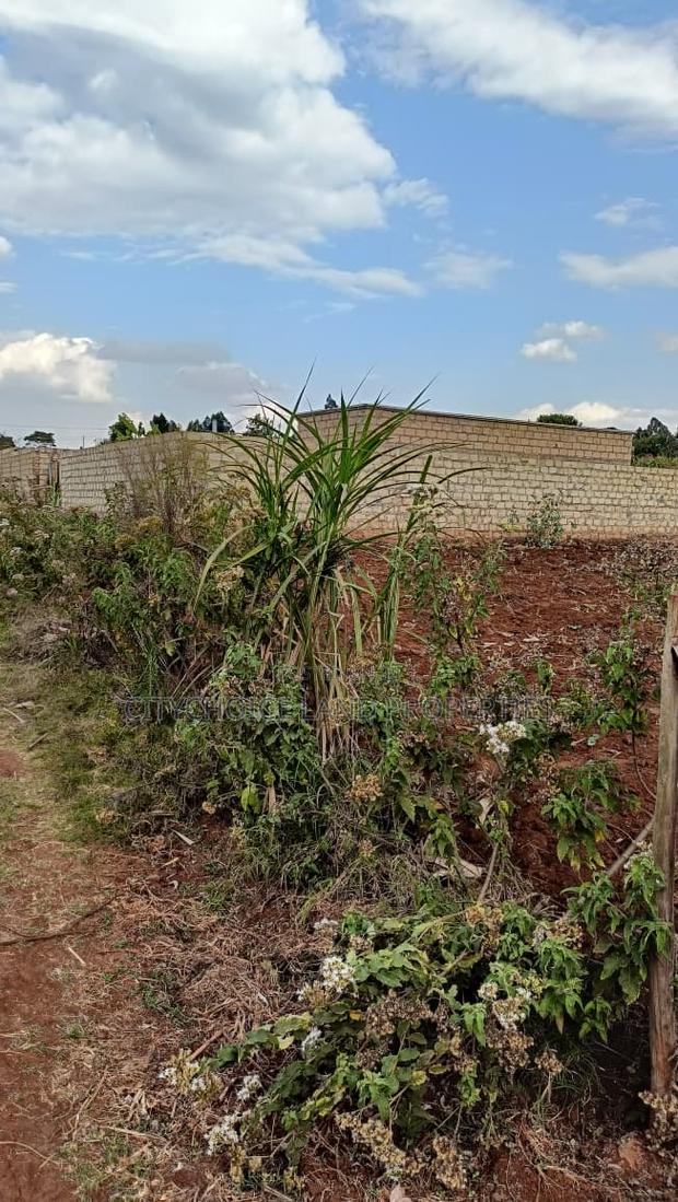 Build Your Dream Home in Rironi Kiroe for Only 2,200,000 - thumbnail 3