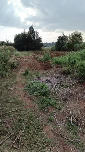 Affordable Perfect Family Plot Rironi Kiroe for Only 2,200,000