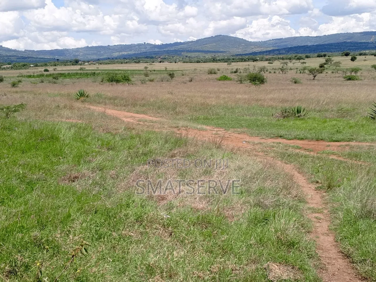 340 Acres on Sale