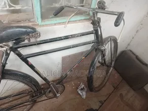 Black Mamba Bicycle
