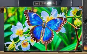 Smart Entertainment With the TCL 50" Qled Smart Google Tv, 