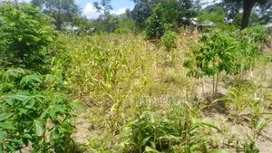 50/50 Feet Plot on Sale