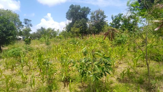 50/50 Feet Plot on Sale - thumbnail 4