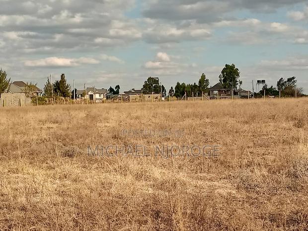 Santa Gardens - main view