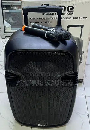 Portable Aone 15inch Powered Speaker With Mics